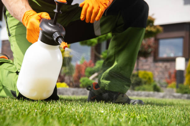 Pest Prevention Services in White City, UT