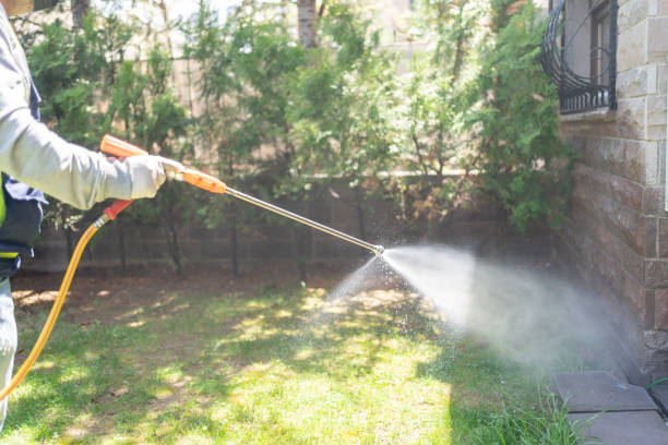 Best Mosquito Control Services  in White City, UT